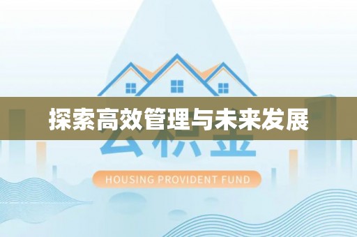 彭阳探索高效管理与未来发展