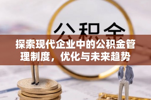 彭阳探索现代企业中的公积金管理制度，优化与未来趋势