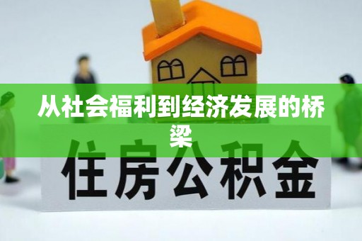 彭阳从社会福利到经济发展的桥梁