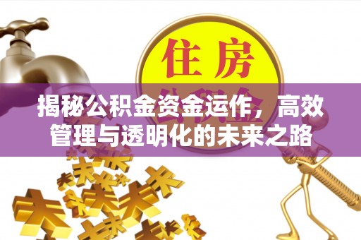 彭阳揭秘公积金资金运作，高效管理与透明化的未来之路