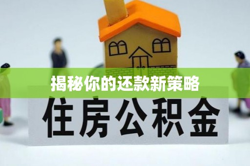 彭阳揭秘你的还款新策略