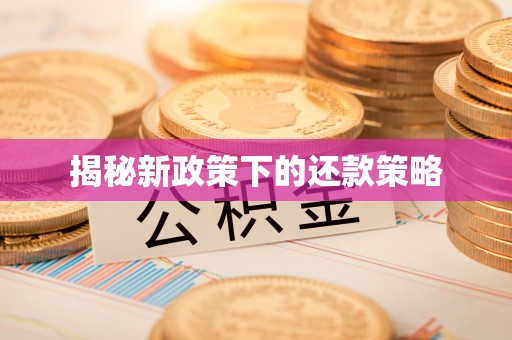 彭阳揭秘新政策下的还款策略