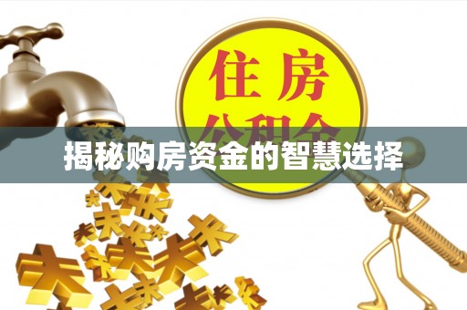 彭阳揭秘购房资金的智慧选择