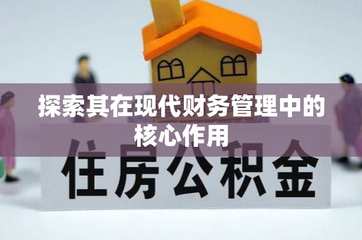 彭阳探索其在现代财务管理中的核心作用