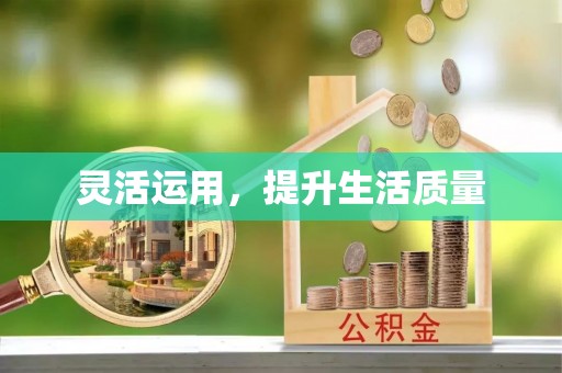 彭阳灵活运用，提升生活质量