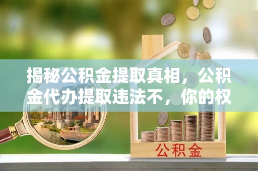 彭阳揭秘公积金提取真相，公积金代办提取违法不，你的权益如何保障？