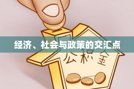 彭阳经济、社会与政策的交汇点