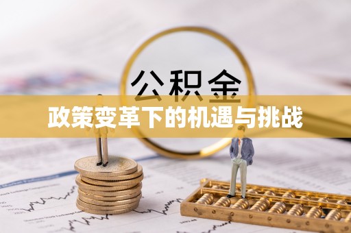 彭阳政策变革下的机遇与挑战
