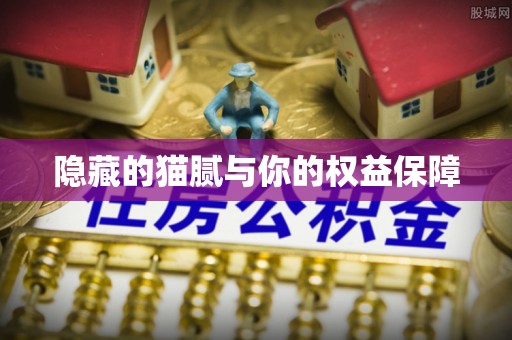 彭阳隐藏的猫腻与你的权益保障