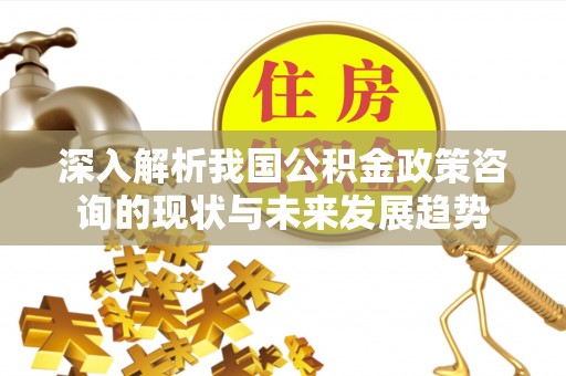彭阳深入解析我国公积金政策咨询的现状与未来发展趋势