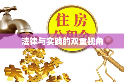 彭阳法律与实践的双重视角