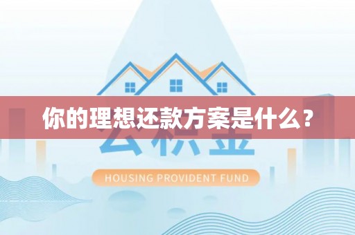 彭阳你的理想还款方案是什么？