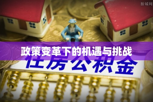 彭阳政策变革下的机遇与挑战