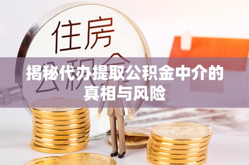 彭阳揭秘代办提取公积金中介的真相与风险