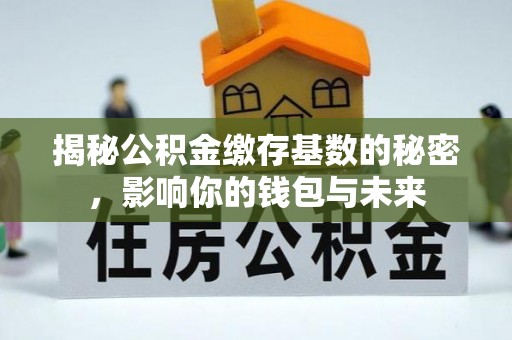彭阳揭秘公积金缴存基数的秘密，影响你的钱包与未来