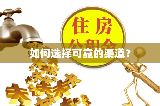 彭阳如何选择可靠的渠道？