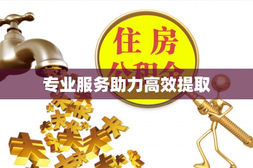 彭阳专业服务助力高效提取