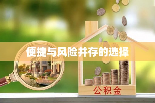 彭阳便捷与风险并存的选择