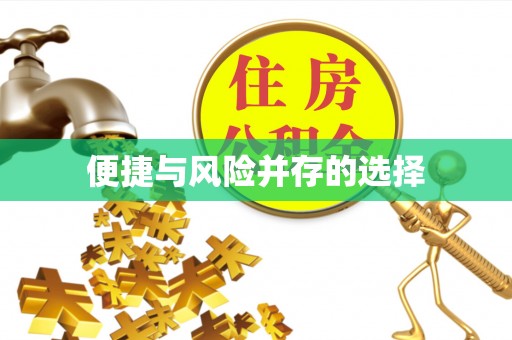彭阳便捷与风险并存的选择